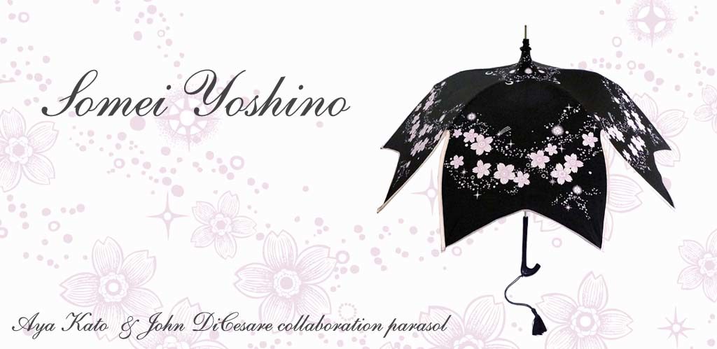 DiCesare Kato Sakura Parasol Someiyoshino