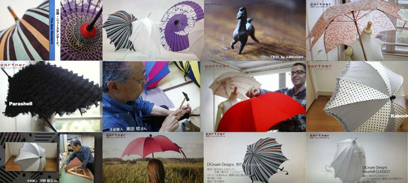 Umbrellas of DiCesare Designs on AsahiBS TV Show