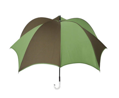 DiCesare Pumpkin Umbrella Brown & Green Clear Handle