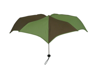 DiCesare Pumpkin umbrella compact Green&Brown2