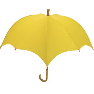 Pumpkin Parasol 1tone Astra Gold