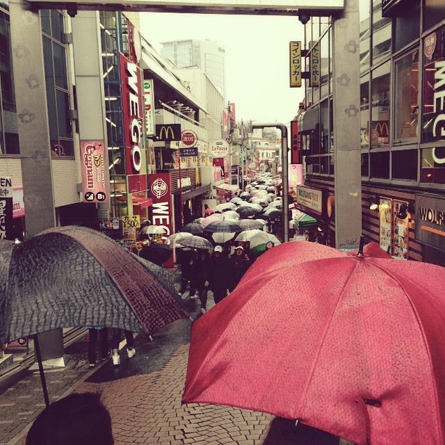 DiCesare Designs Umbrellas in Harajuku Tokyo