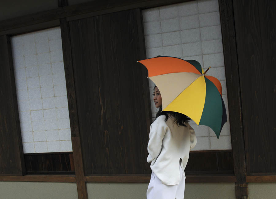 DiCesare Designs Rhythm Pumpkin Umbrella
