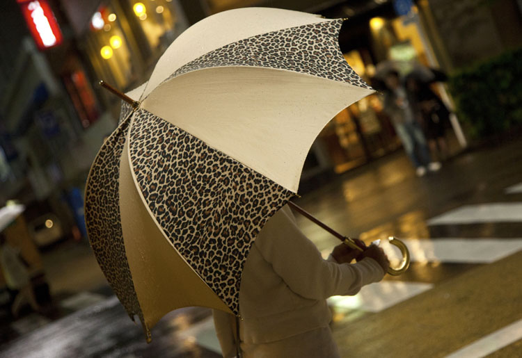 DiCesare Leopard Umbrella