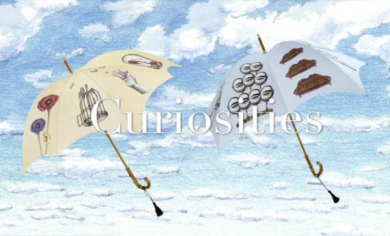 Curiosities Pumpkin Umbrella by DiCesare Designs & Aiko Fukuda