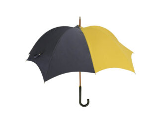 DiCesare Designs Rhythm Umbrella Mezzo Grey & Saffron 1