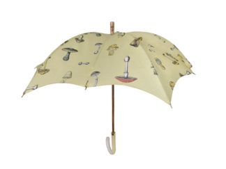 DiCesare Pumpkin Parsasol Funghi