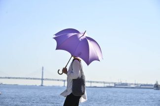 雨傘・雨晴兼用