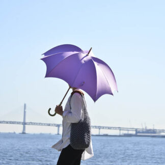 雨傘・雨晴兼用