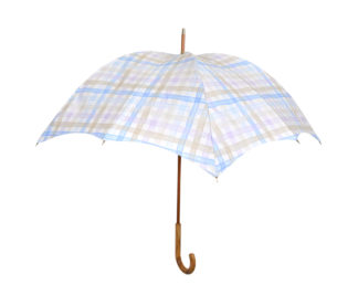 DiCesare Pumpkin Umbrella:Parasol Acuarela