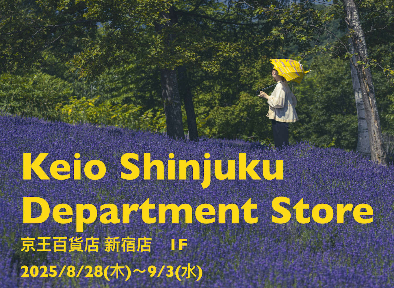 DiCesare Designs Parashel Parasol