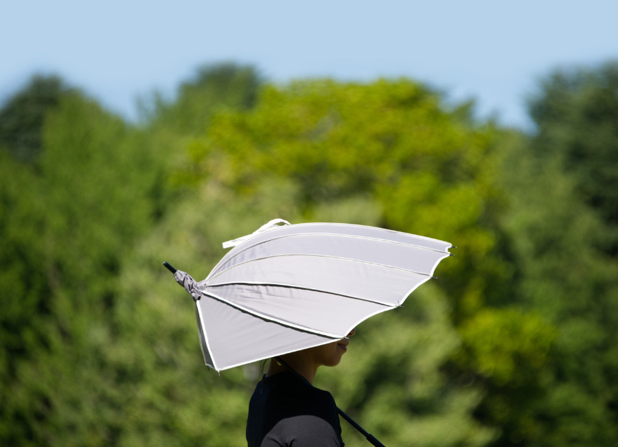 DiCesare-Designs-Parashell-Chic-Parasol