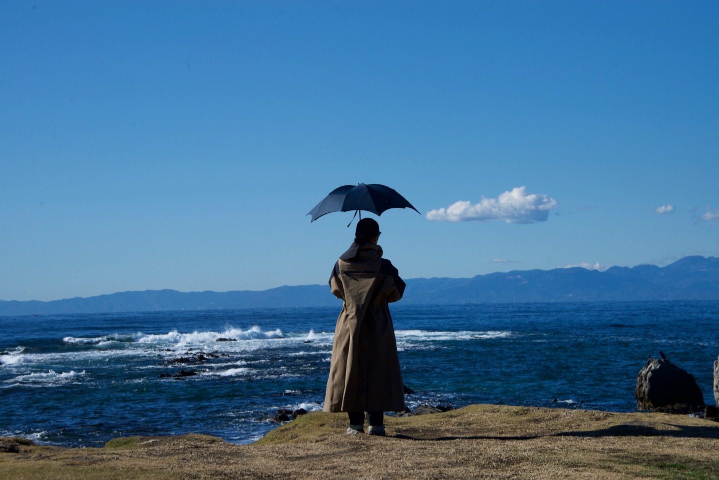 DiCesare Designs Pumpkin MINI Navy Parasol-Umbrella
