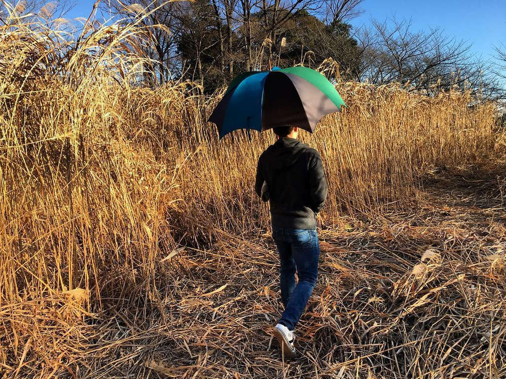 DiCesare Men's pumpkin umbrella