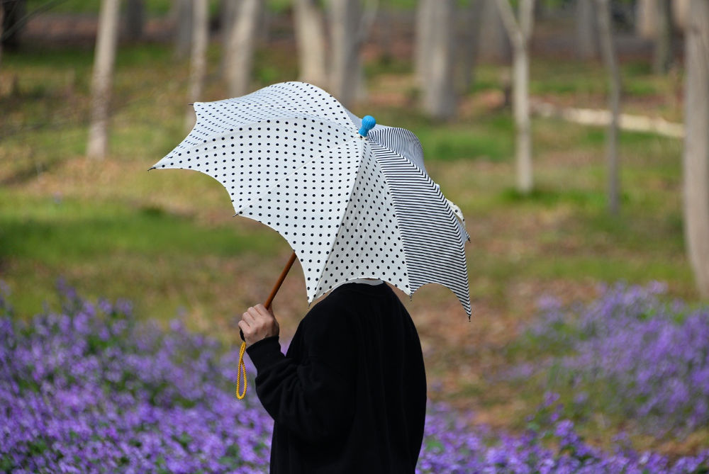 DiCesare Designs Pumpkin Parasol Plaisir