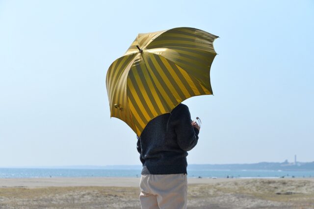 DiCesare Designs Umbrella, Parasol and Accessory Gallery.