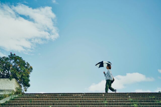 DiCesare Designs Umbrella, Parasol and Accessory Gallery.